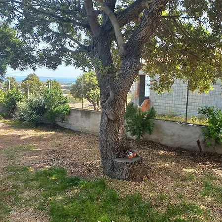 Apartman La Terrazza Cannigione